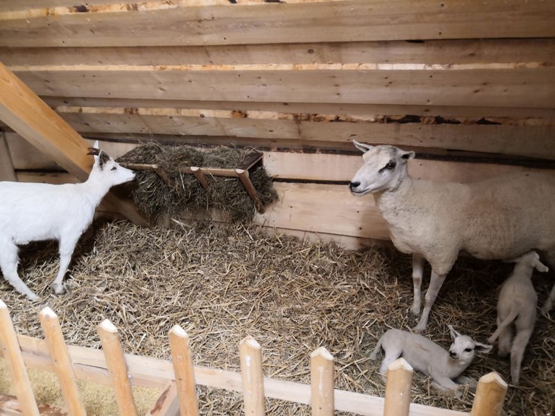 Interaktivní muzeum Švýcárna Slatiňany