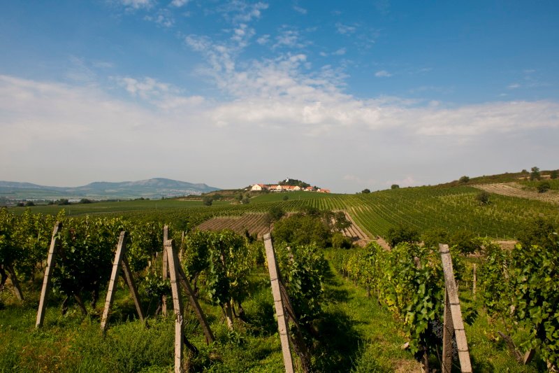 Vinařství U Kapličky - penzion