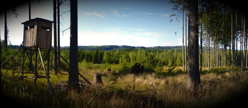 Hotel Pod Kokšínem