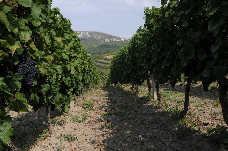 Pension U Obecní Šatlavy