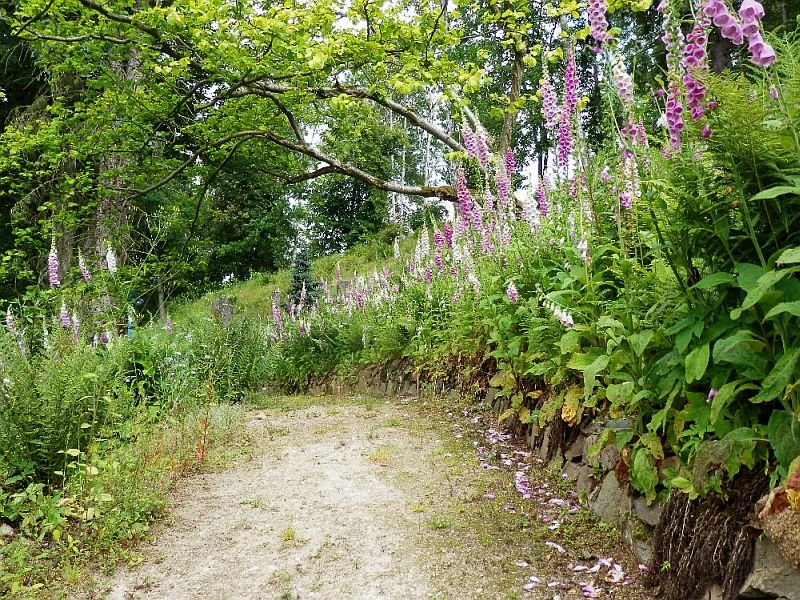 Bečovská botanická zahrada