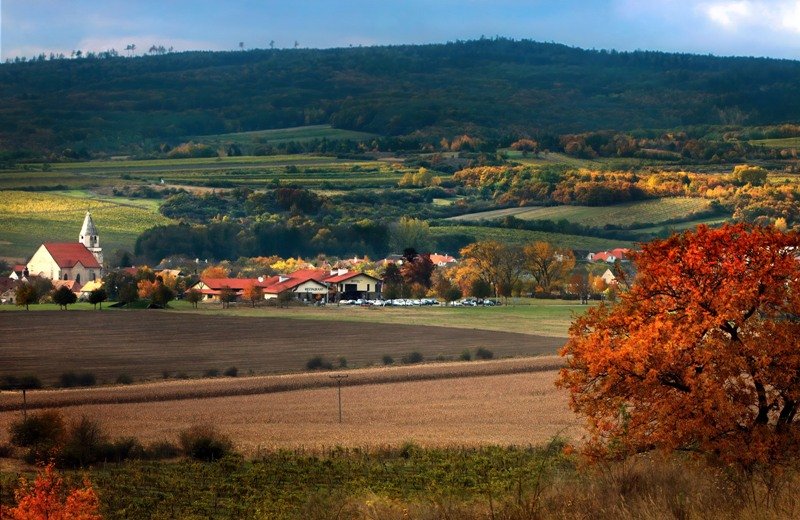 Hotel Happy Star - restaurace