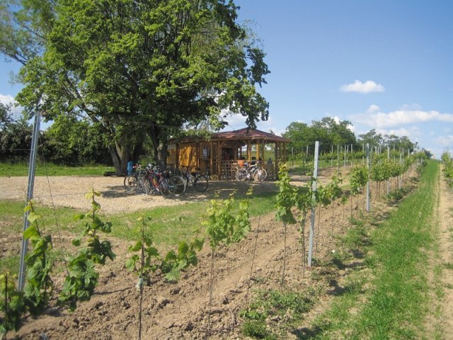 ZNOVÍN ZNOJMO, a. s. - ochutnávkový stánek Staré vinice, Havraníky