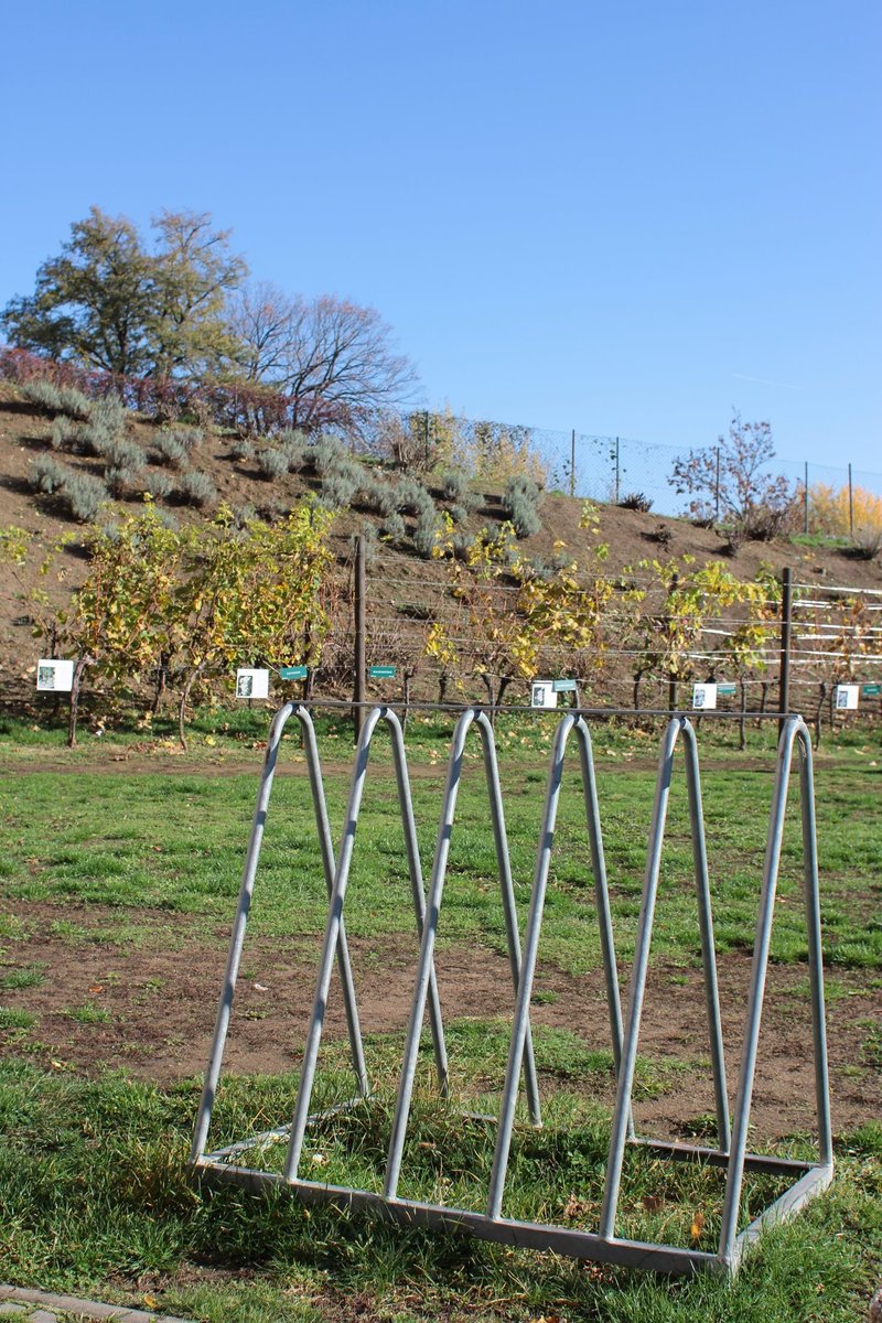 ZNOVÍN ZNOJMO, a.s. – Loucký klášter