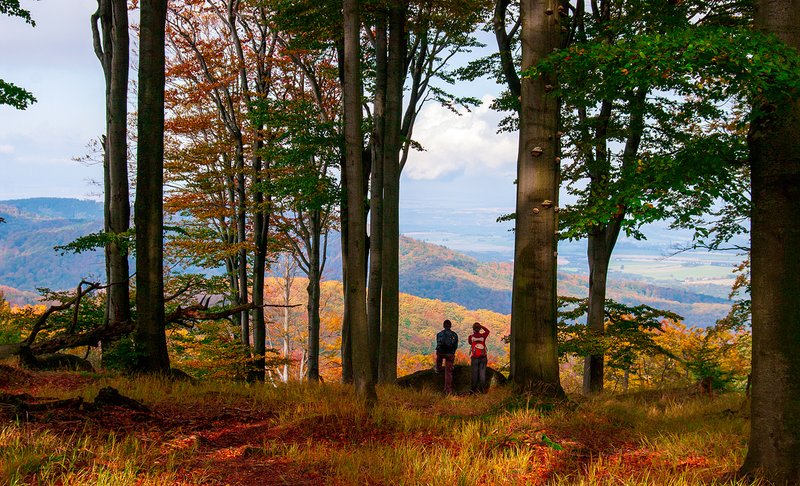 Potkávárna u Havrana