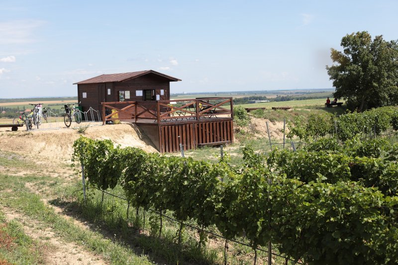 Degustační stánek Znovínu Znojmo na viniční trati Peklo v Šatově