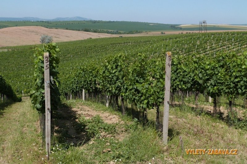 Penzion Starý dvůr