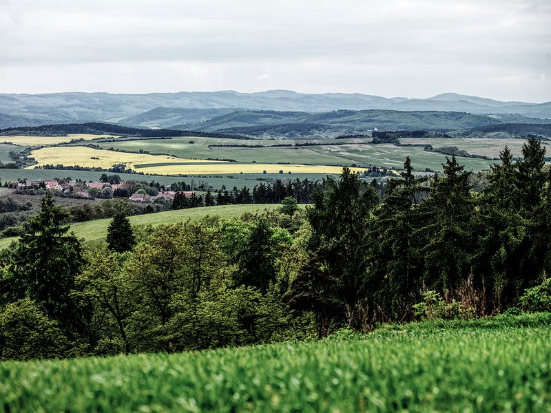 Clearpoint - ubytování