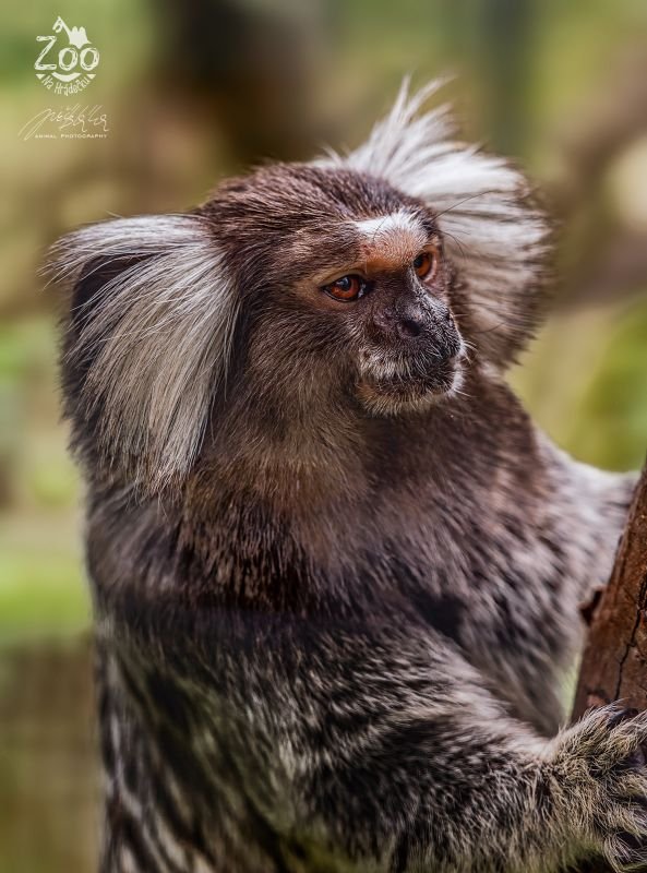 Zoopark Na Hrádečku