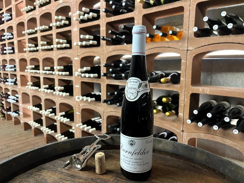 Stará Vinice - ubytování