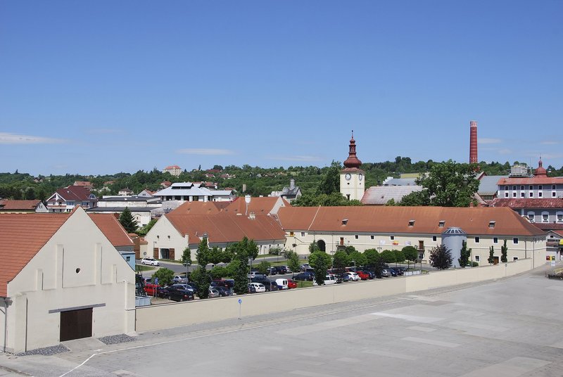 Dobrovická muzea, o.p.s