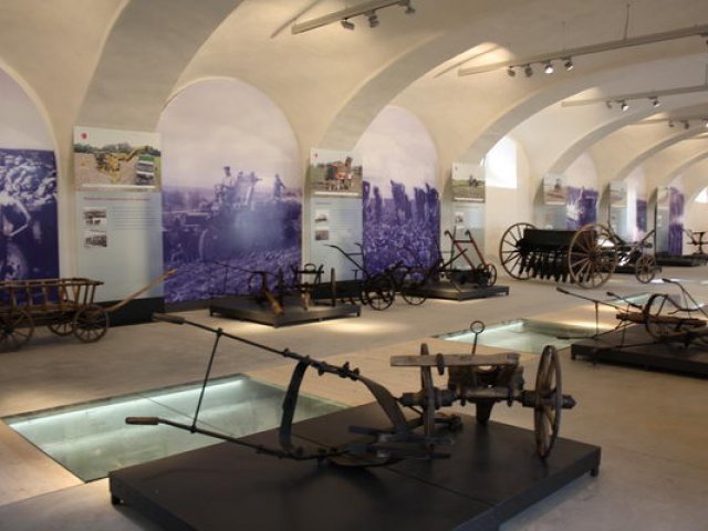 Dobrovická muzea, o.p.s